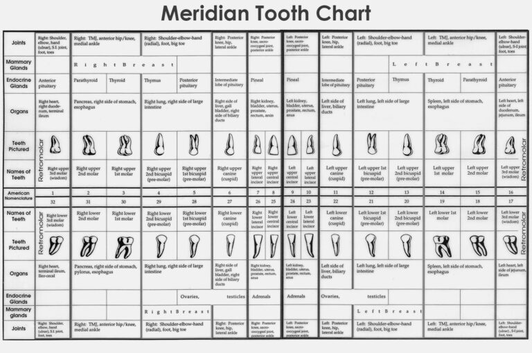 Chart Dr Robert Rousseau DDS PC