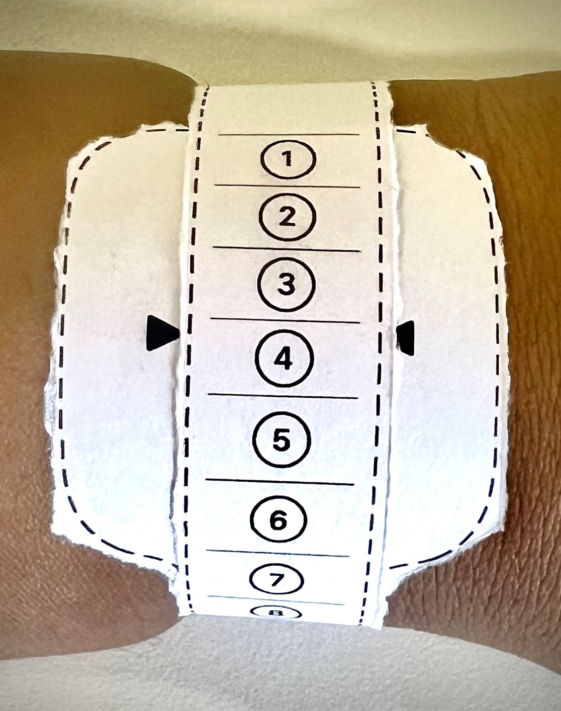 Apple Watch Band Size Chart Printable