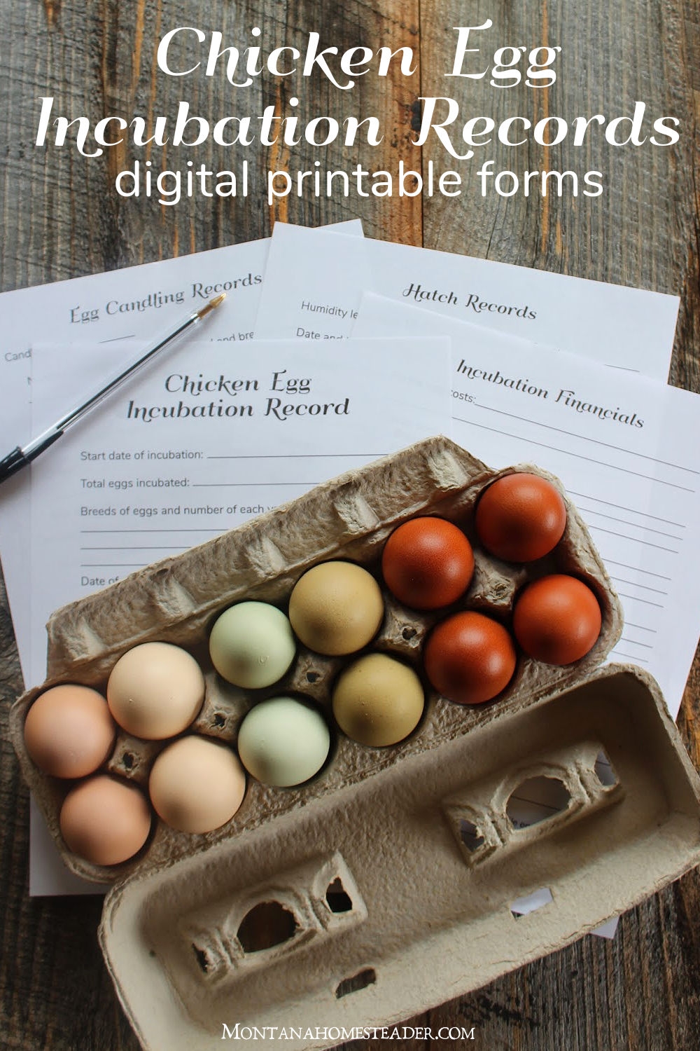 Chicken Egg Incubation Records Printable Forms Montana Homesteader