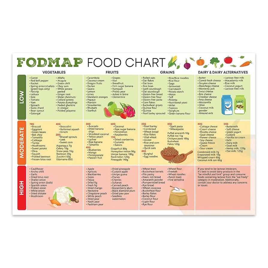 Chicken Stock FODMAP Diet Food Guide FODMAP Grocery List IBS Food List Low Fodmap Food Chart Nutrition Dietitian Worksheet digital Printable Fodmap Chart Uk