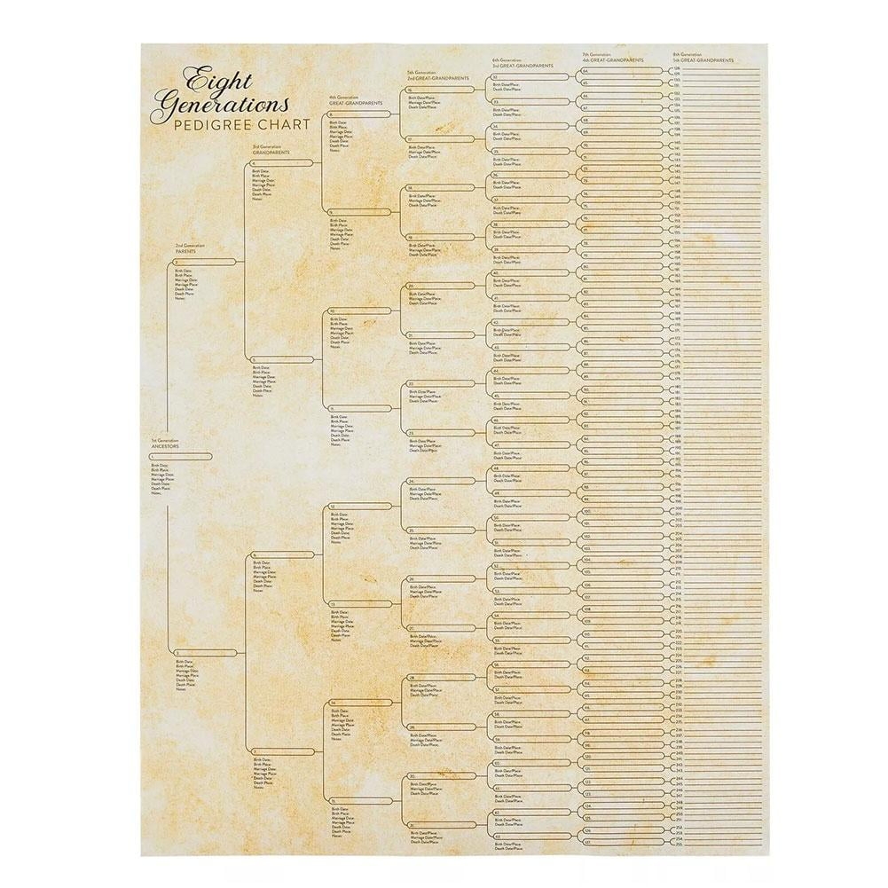 COCEQUC Family Relationship Chart Genealogy Poster Can Be Written And Clear Understand T9Y5 Poster Retro To Structure Easy M2G4 Walmart Business Supplies