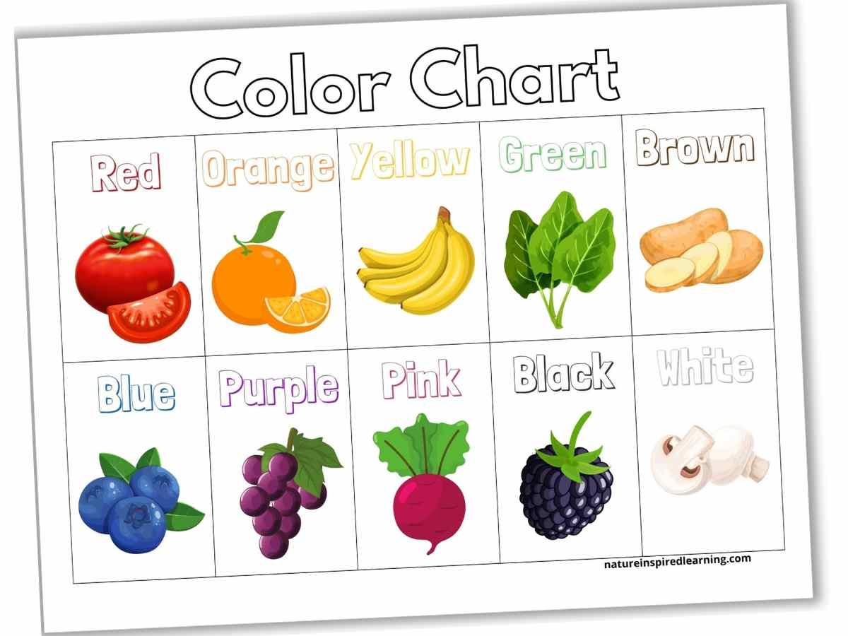 Color Charts Plus Activity Ideas Nature Inspired Learning Color Charts Plus Activity Ideas Nature Inspired Learning