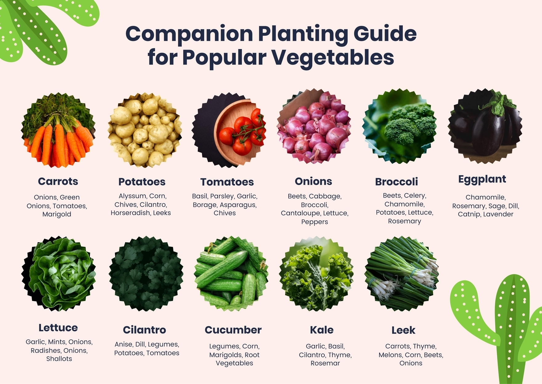 Companion Planting Chart For Popular Vegetables In PDF Illustrator Download Template Companion Planting Chart For Popular Vegetables In PDF Illustrator Download Template