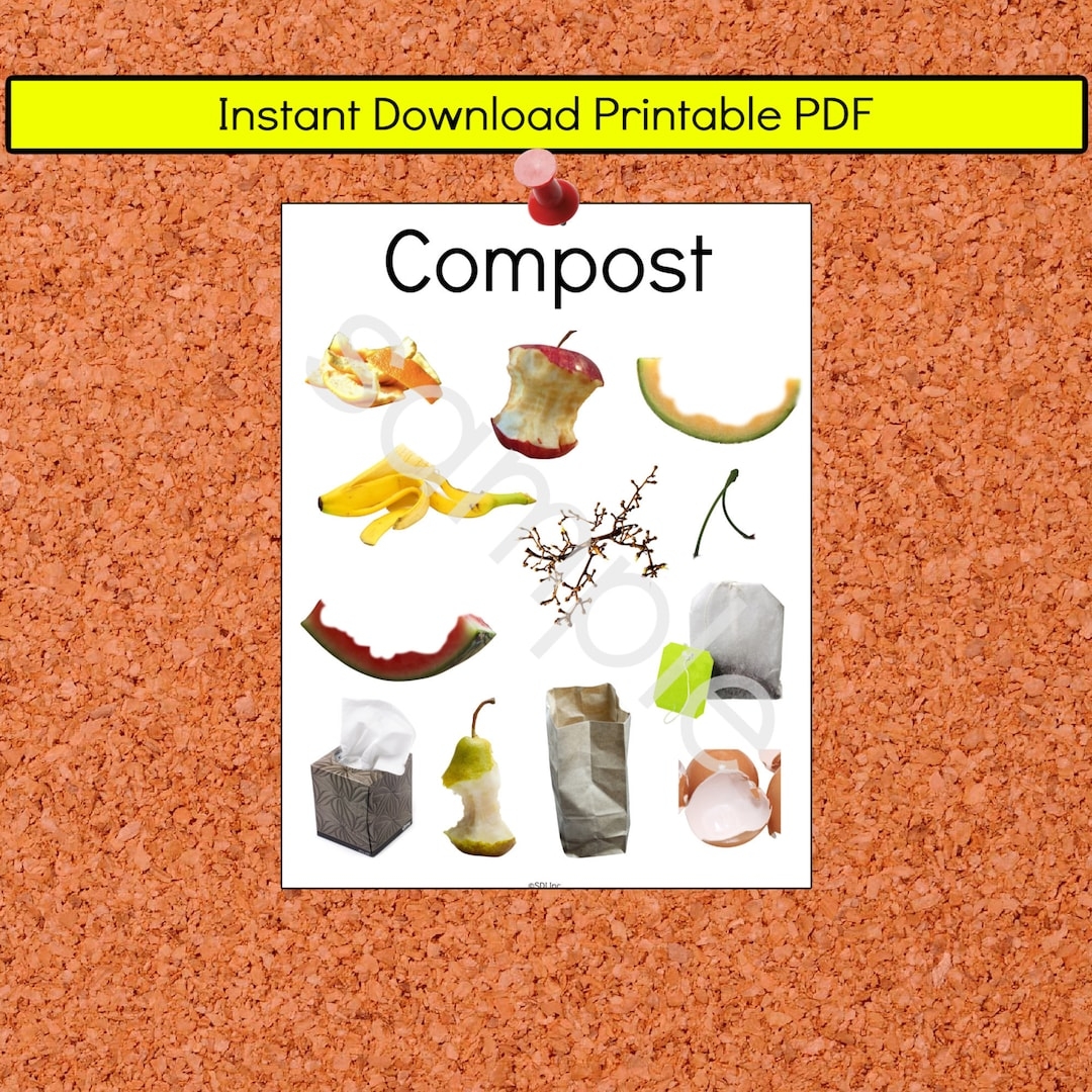 Compost Bin List Sign Composter Chart Classroom Poster Homeschool Printable Teaching Resource Preschool Kindergarten French English Etsy