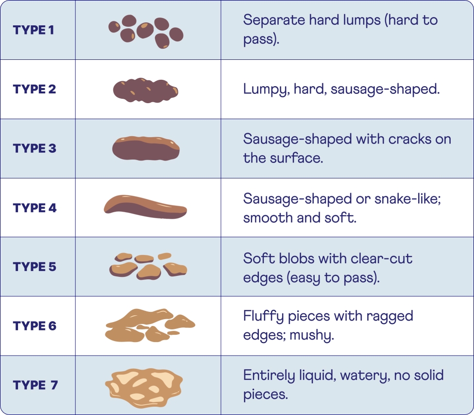 Cracking The Code The Bristol Stool Chart Heights