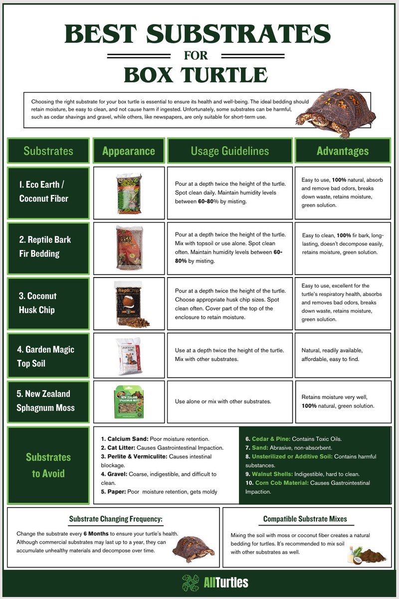  Create The Perfect Environment For Your Box Turtle With Our Guide On The Best Substrates Ensure Their Health And Happiness With Expert Tips On Maintaining A Clean And Comfortable Habitat 