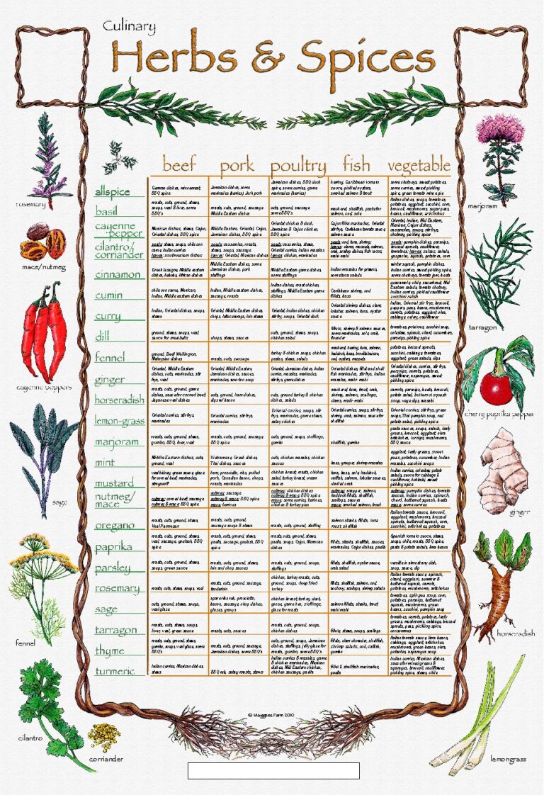Culinary Posters Home Of Art Spices And Culinary Herbs Poster 16x20 Inch Kitchen Wall Art Print Baby Party Supplies