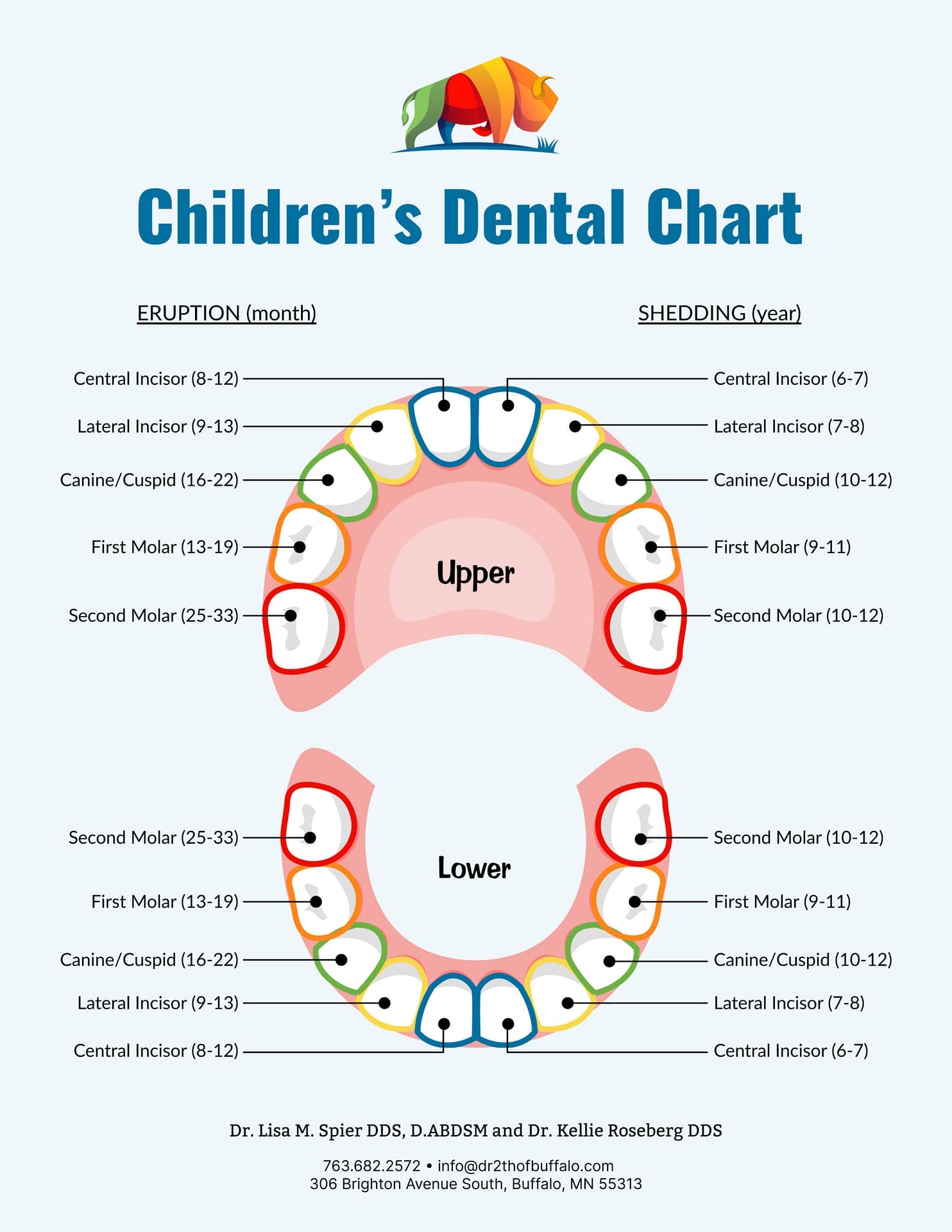Printable Tooth Numbering Chart