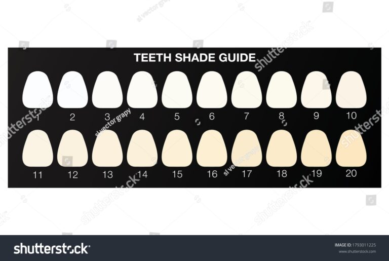 Dental Tooth Shade Guide Over 52 Royalty Free Licensable Stock Illustrations Drawings Shutterstock