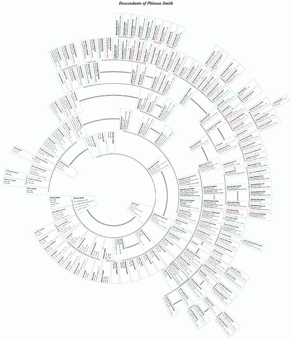 Descendant Fan Chart Examples