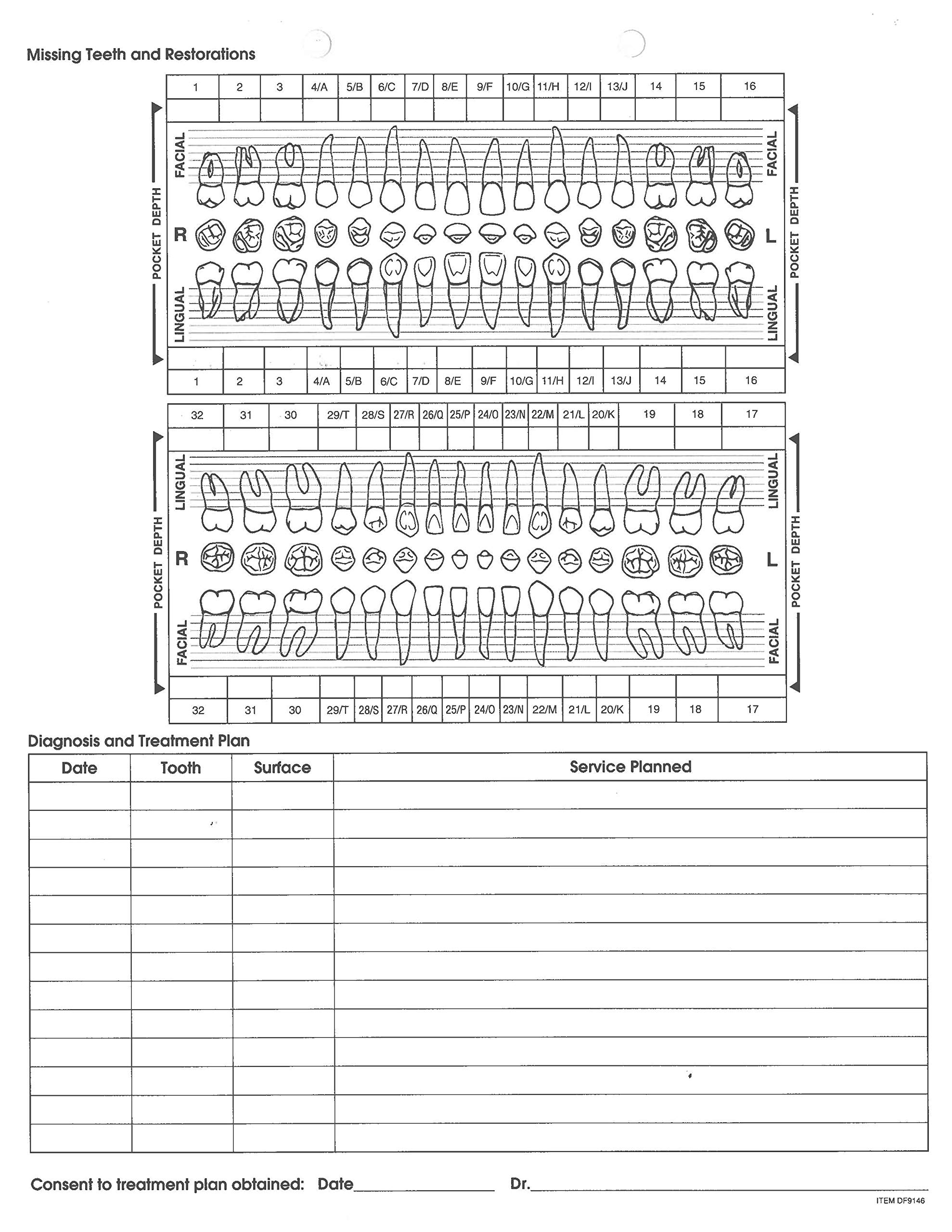 Doctor No Dental Examination Forms 100 Pack Patient Charting Sheets 8x10 Green Cavity Model