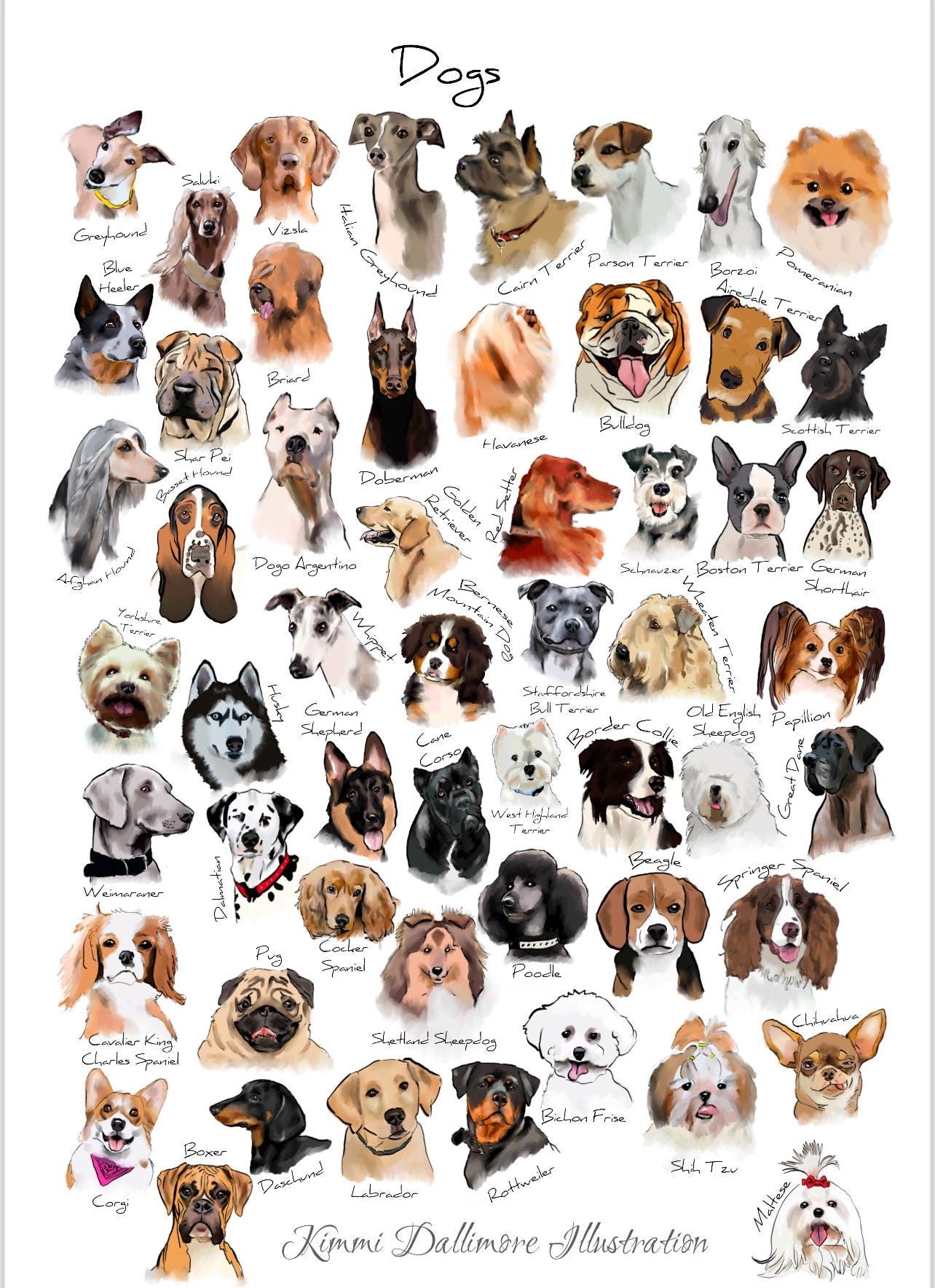 Dog Breed Illustration Art Print Dog Varieties Wall Chart Etsy