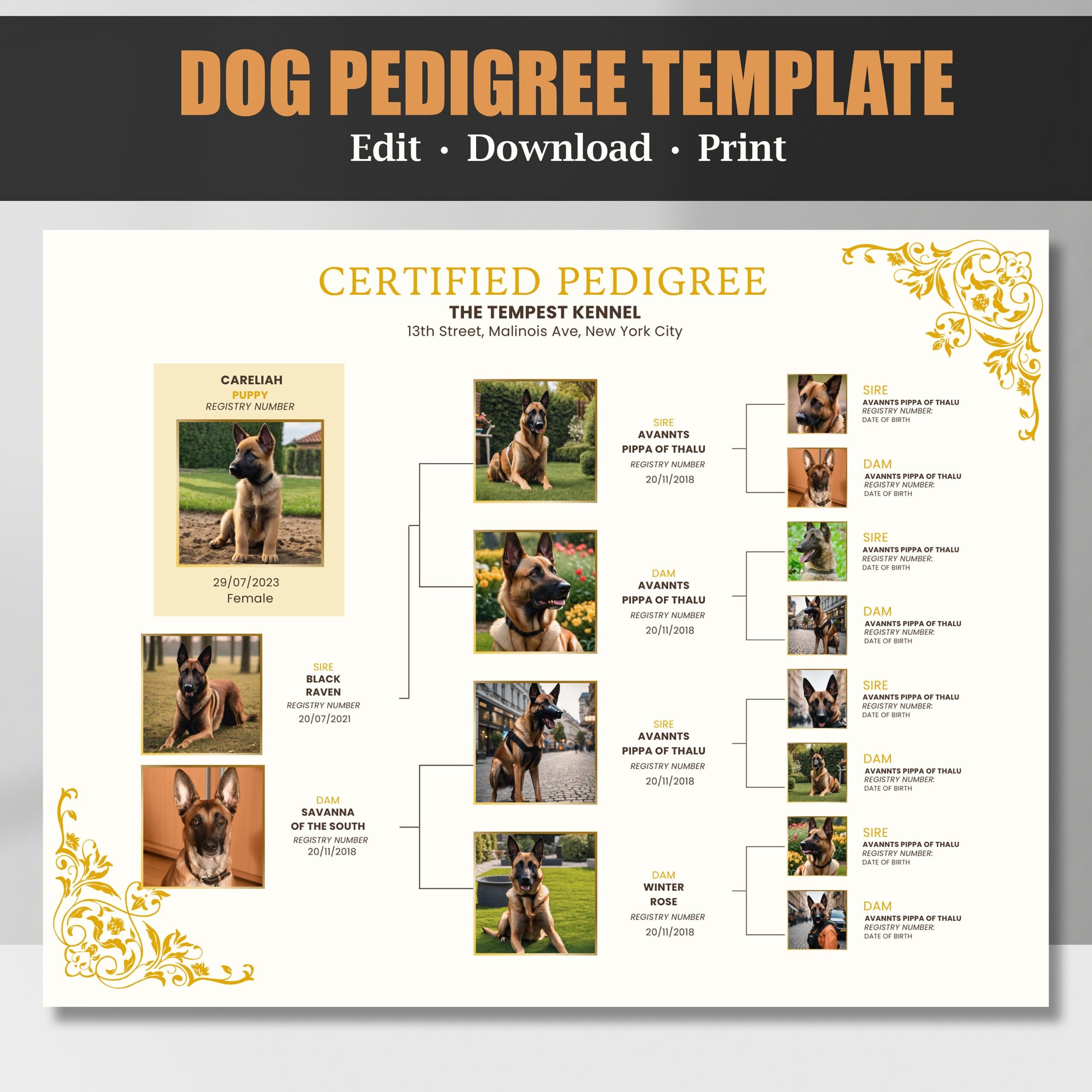 Free Printable Blank Dog Pedigree Chart Free Printable Blank Dog Pedigree Chart