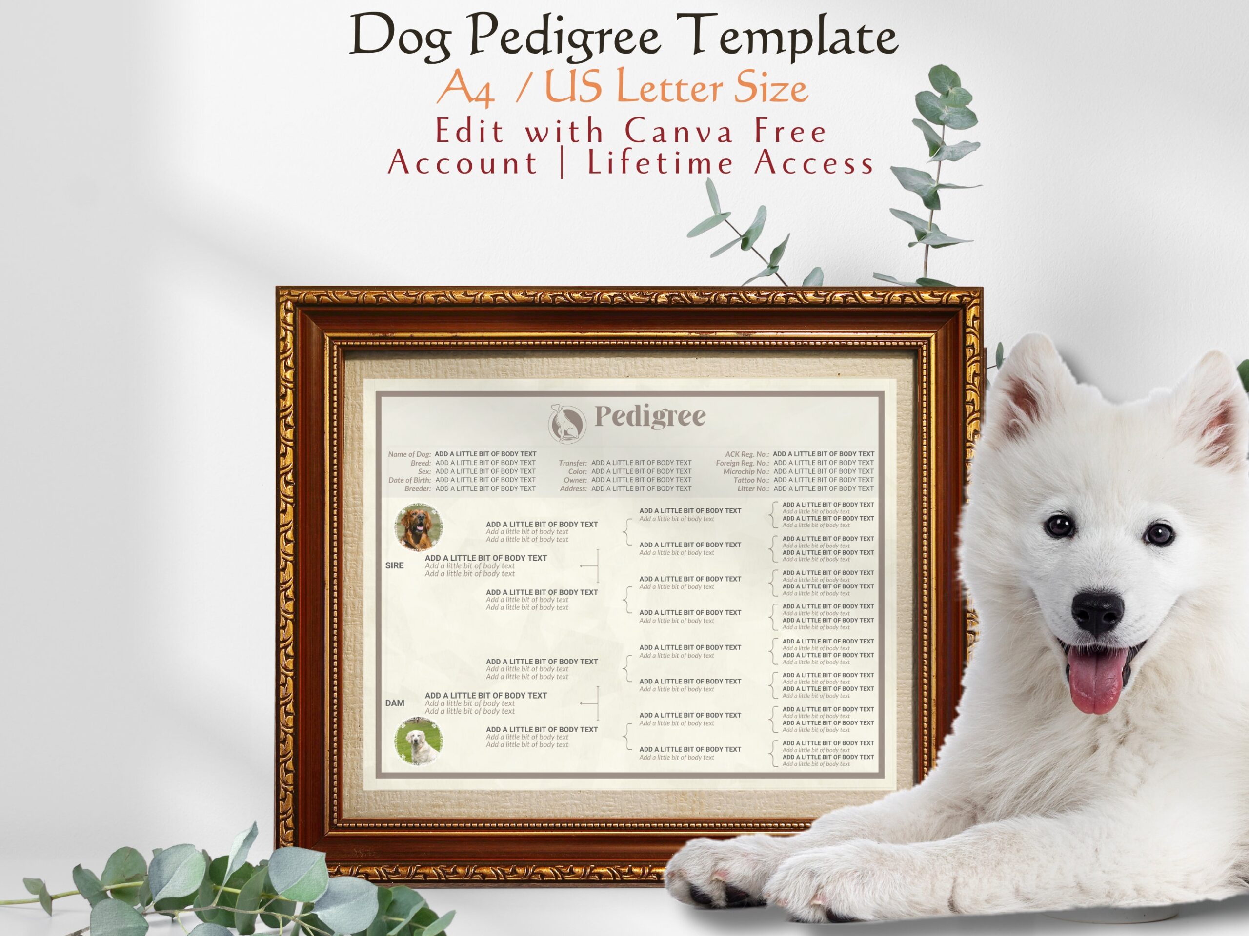 Dog Pedigree Template Editable Pedigree A4 US Letter Size Dog Breeder s Printable Puppy Pedigree Breeder s Template Canine Pedigree Etsy Dog Pedigree Template Editable Pedigree A4 US Letter Size Dog Breeder s Printable Puppy Pedigree Breeder s Template Canine Pedigree Etsy