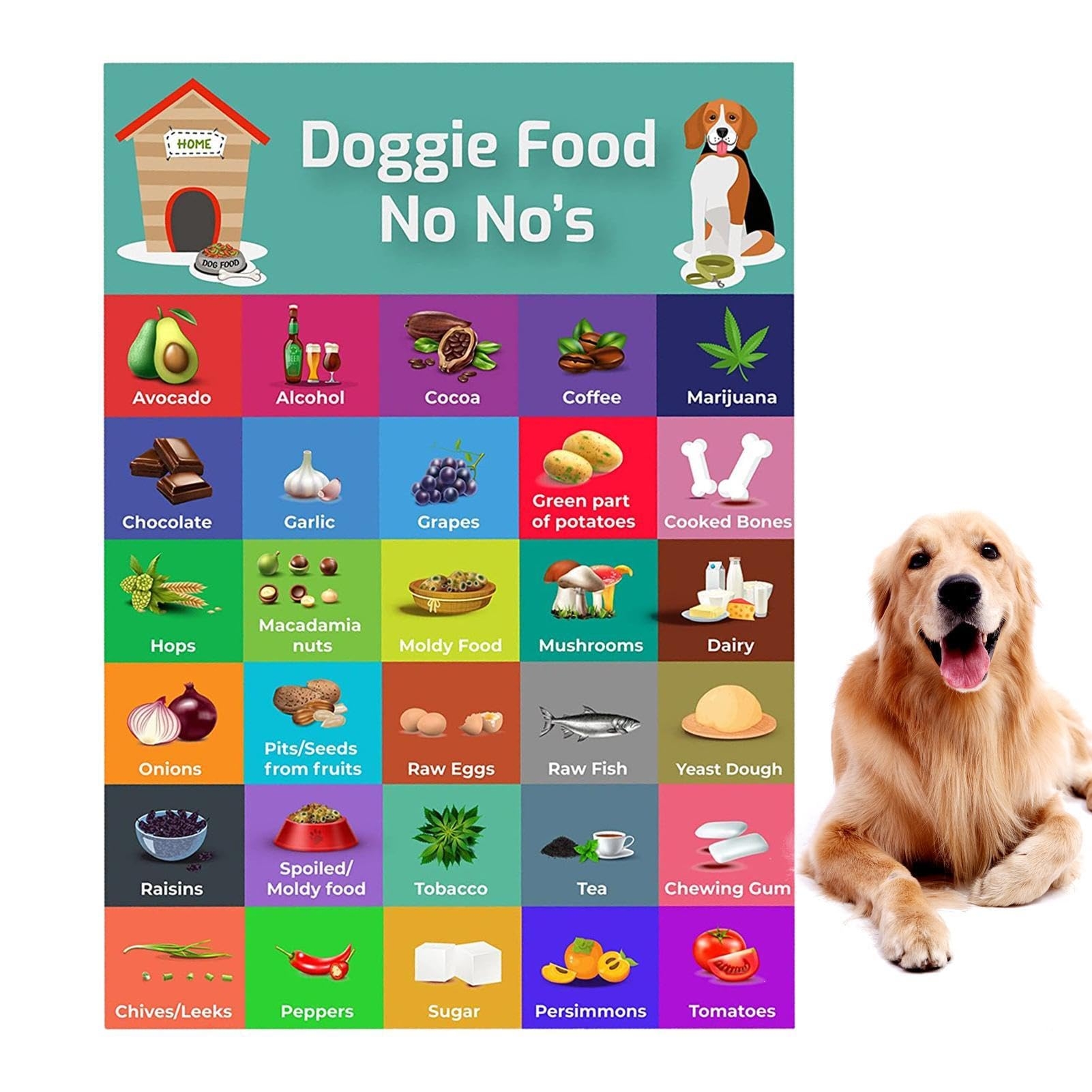 Dog Safe Food List Pet Food Safety Magnet Dog Nutrition Magnet Colorful Magnet Dog Food