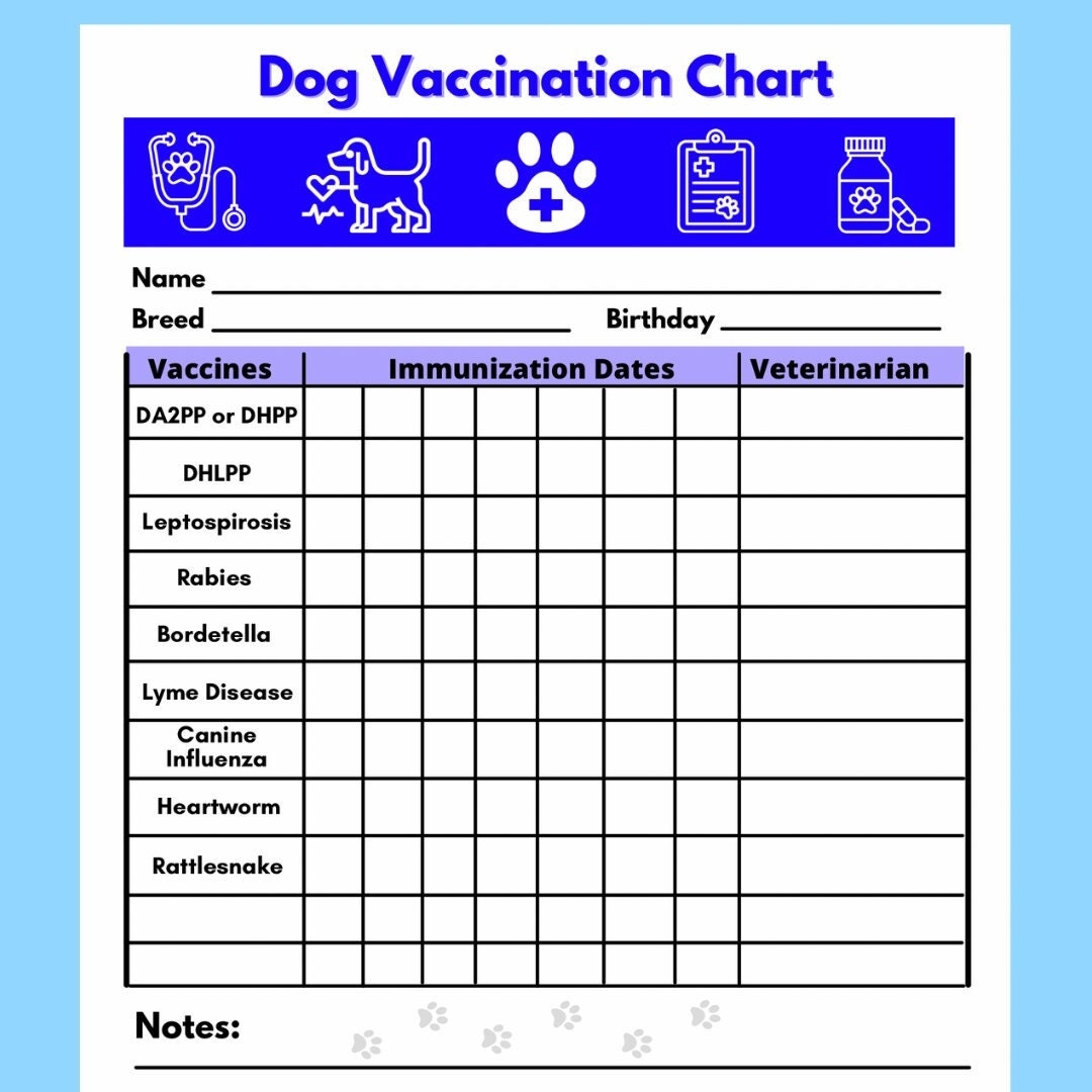 Dog Vaccine Printable Pet Printable Immunization Puppy Vaccinations Dog Health Digital Download Instant Download PDF Etsy Dog Vaccine Printable Pet Printable Immunization Puppy Vaccinations Dog Health Digital Download Instant Download PDF Etsy