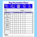 Dog Vaccine Printable Pet Printable Immunization Puppy Vaccinations Dog Health Digital Download Instant Download PDF Etsy