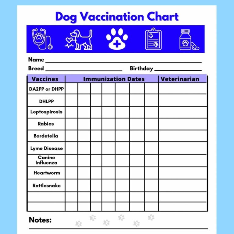 Dog Vaccine Printable Pet Printable Immunization Puppy Vaccinations Dog Health Digital Download Instant Download PDF Etsy Denmark