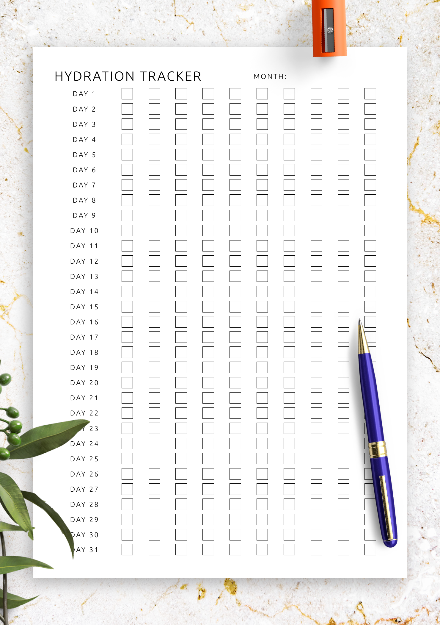 Download Printable Hydration Tracker Template PDF
