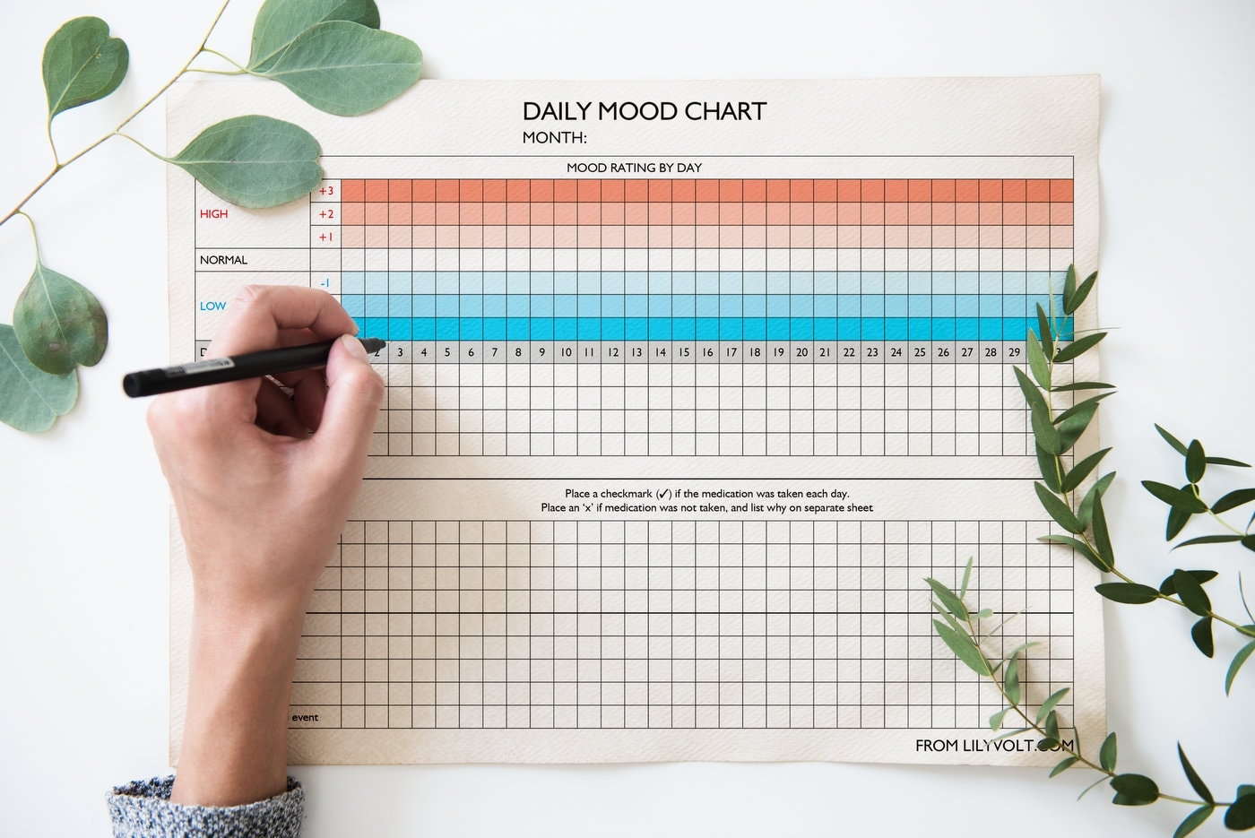 Free Printable Bipolar Mood Chart