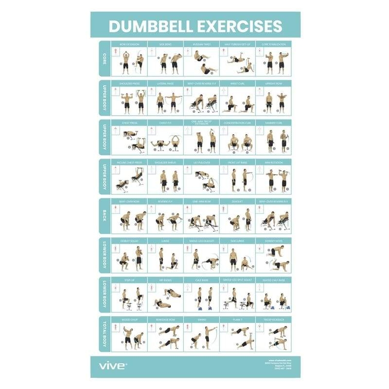 Dumbbell Exercise Chart Pdf Sale