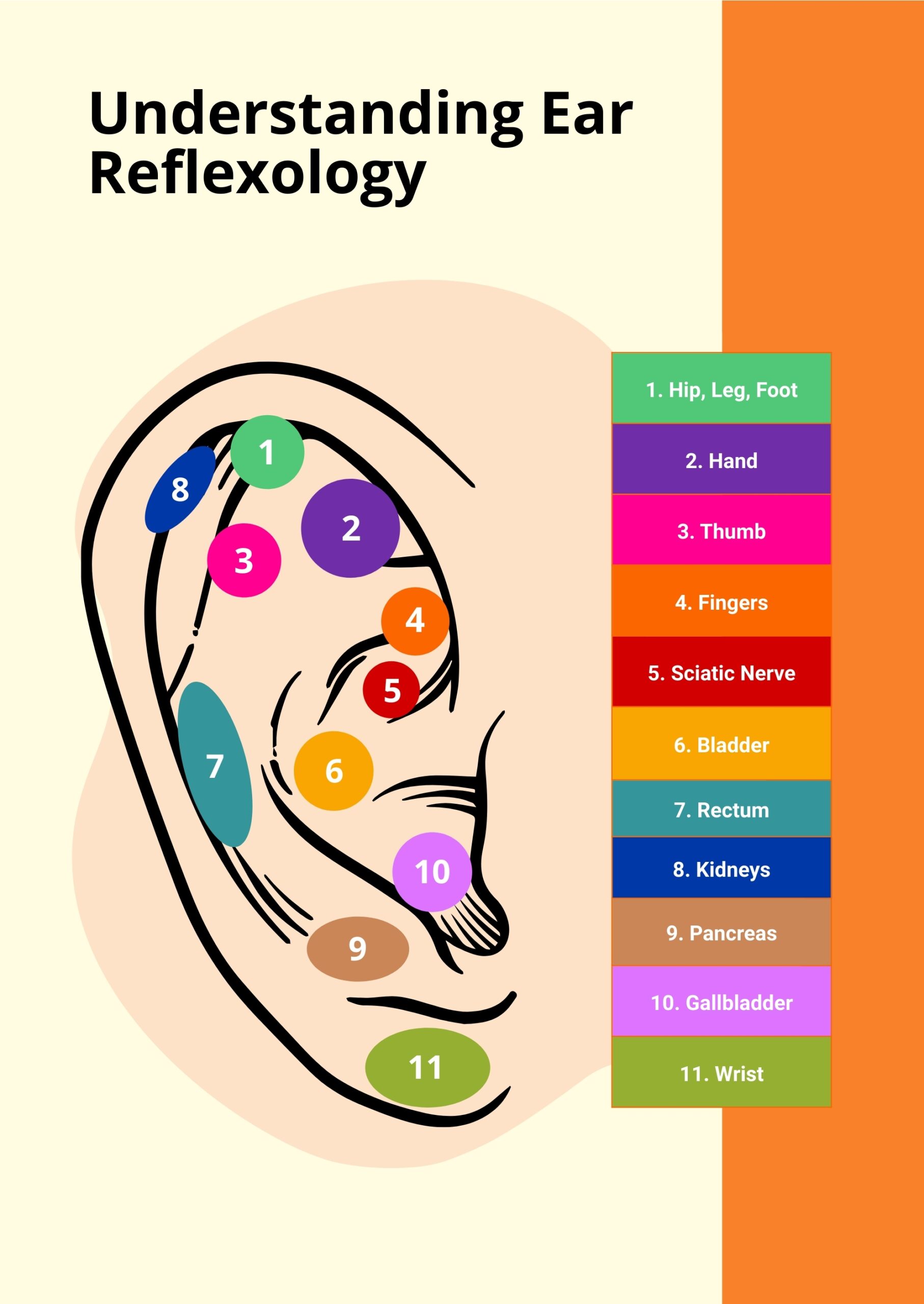 Ear Reflexology Chart In Illustrator PDF Download Template Ear Reflexology Chart In Illustrator PDF Download Template