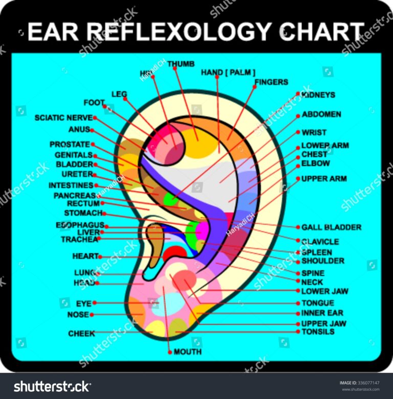 Ear Reflexology Chart Vector Stock Vector Royalty Free 336077147 Shutterstock