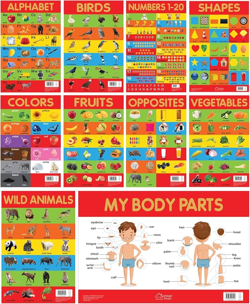 Early Learning Educational Charts For Kids Pack Of Ten Charts Perfect For Homeschooling Kindergarten And Nursery Students 11 5 Inches X 17 5 Fruits Vegetables Opposites My Body Parts Wonder House Books 9789389178012 Amazon Books Early Learning Educational Charts For Kids Pack Of Ten Charts Perfect For Homeschooling Kindergarten And Nursery Students 11 5 Inches X 17 5 Fruits Vegetables Opposites My Body Parts Wonder House Books 9789389178012 Amazon Books