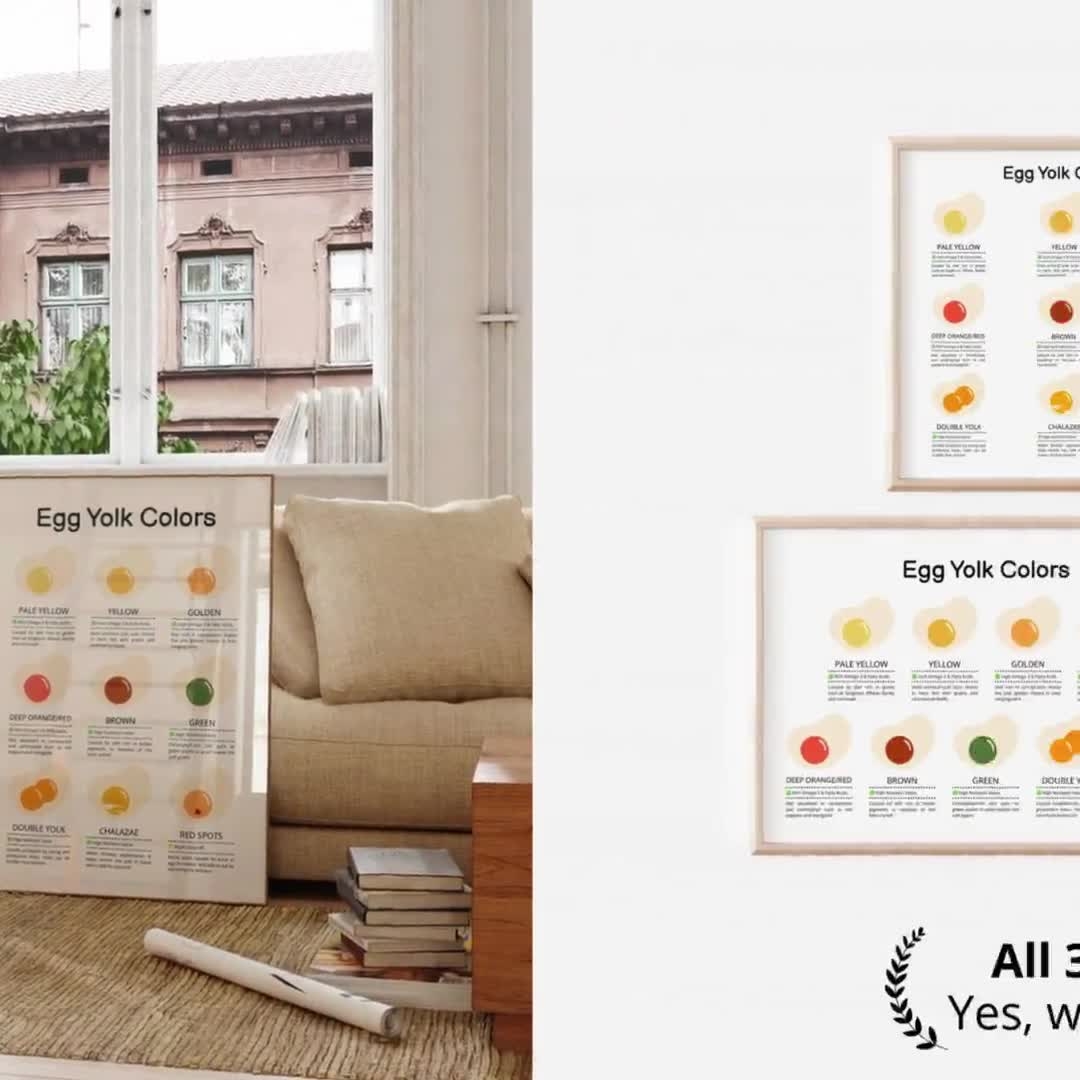 Egg Yolk Color Chart Print Educational Kitchen Wall Art digital Download Etsy UK