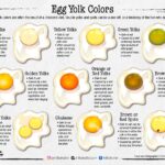 Egg Yolk Colors Hill To Holler Homestead
