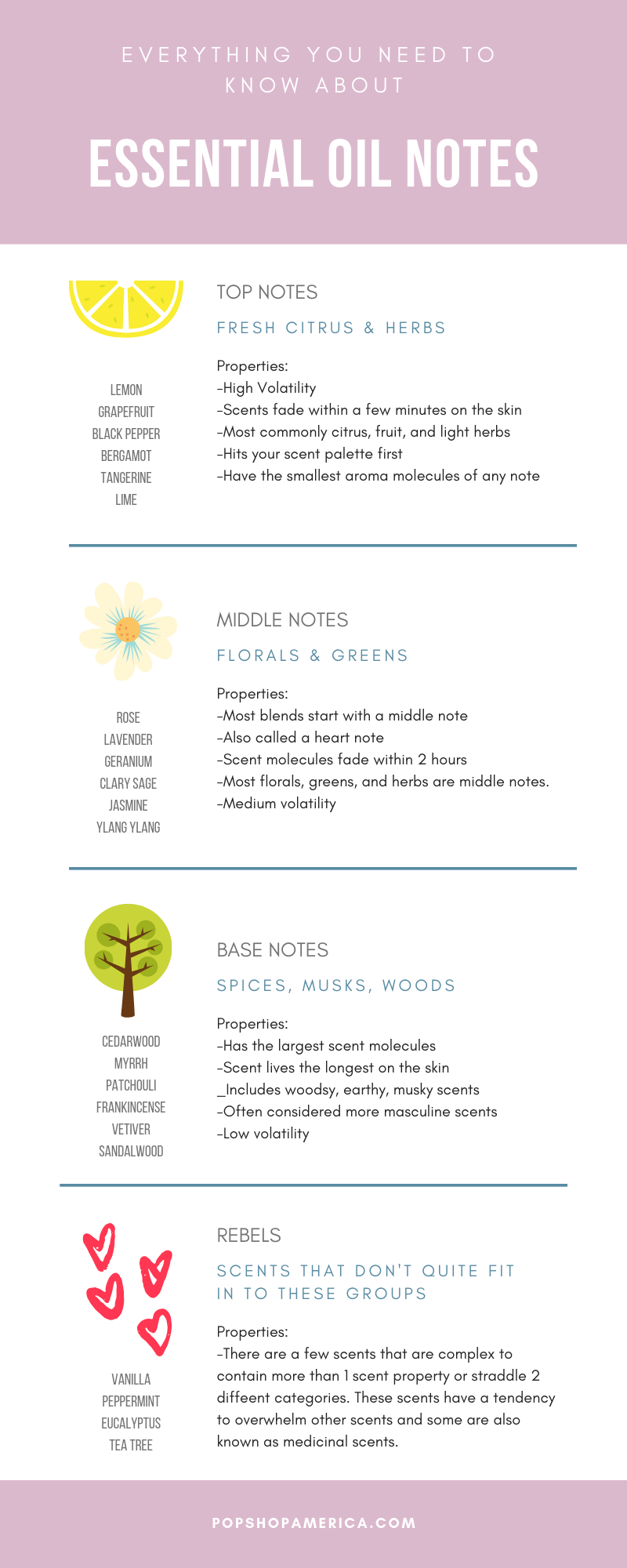 Essential Oil Notes 2025 Zigzagcamper