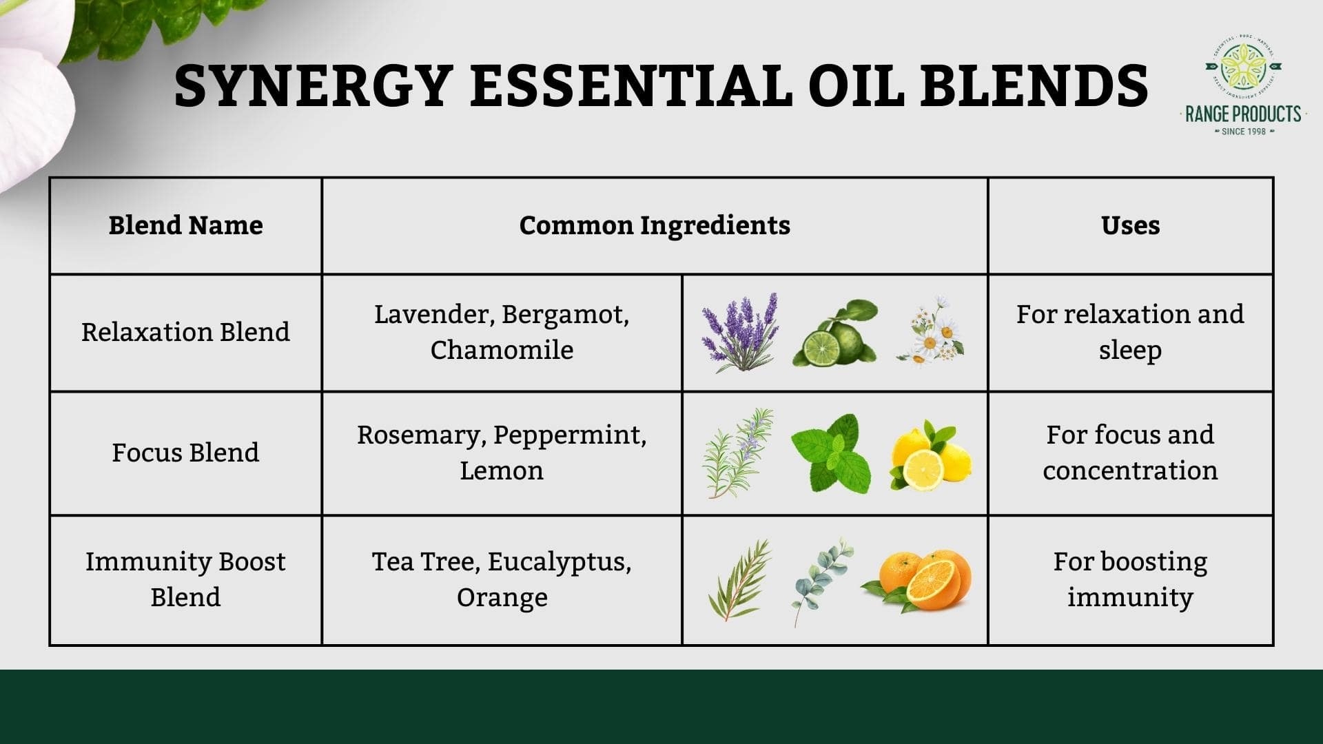 Essential Oils List Benefits And Uses Chart Range Products