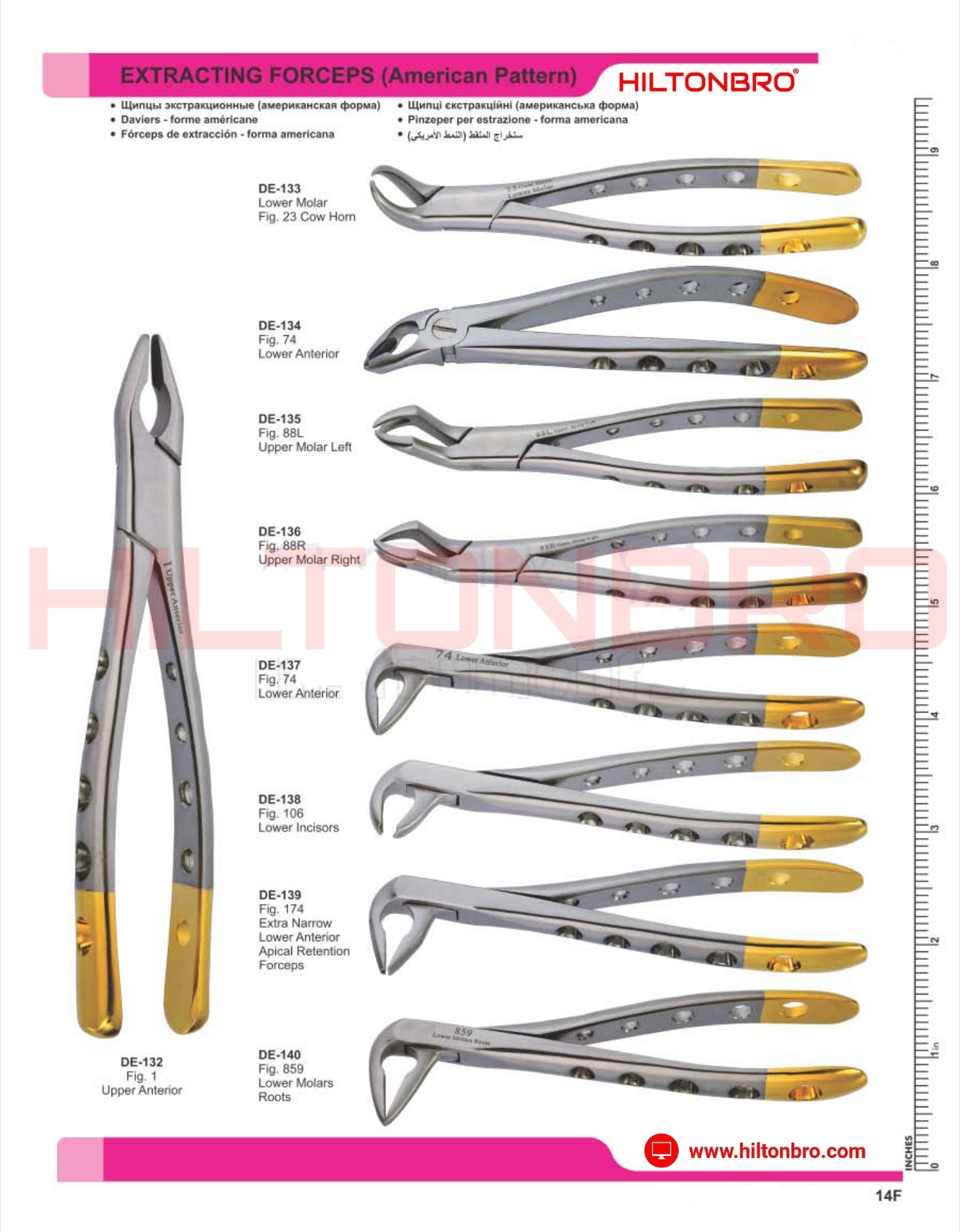 Extracting Forceps HILTONBRO Extracting Forceps HILTONBRO