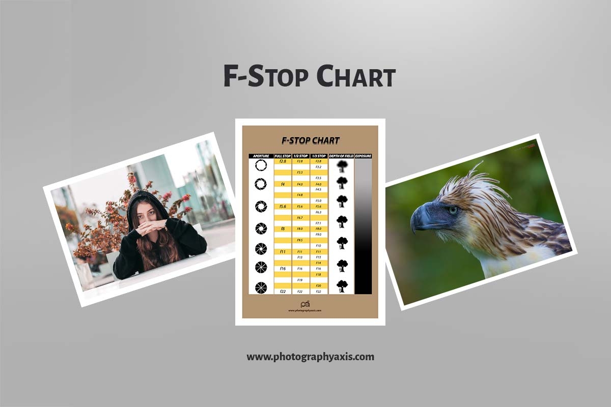 Printable F-Stop Chart Printable F-Stop Chart