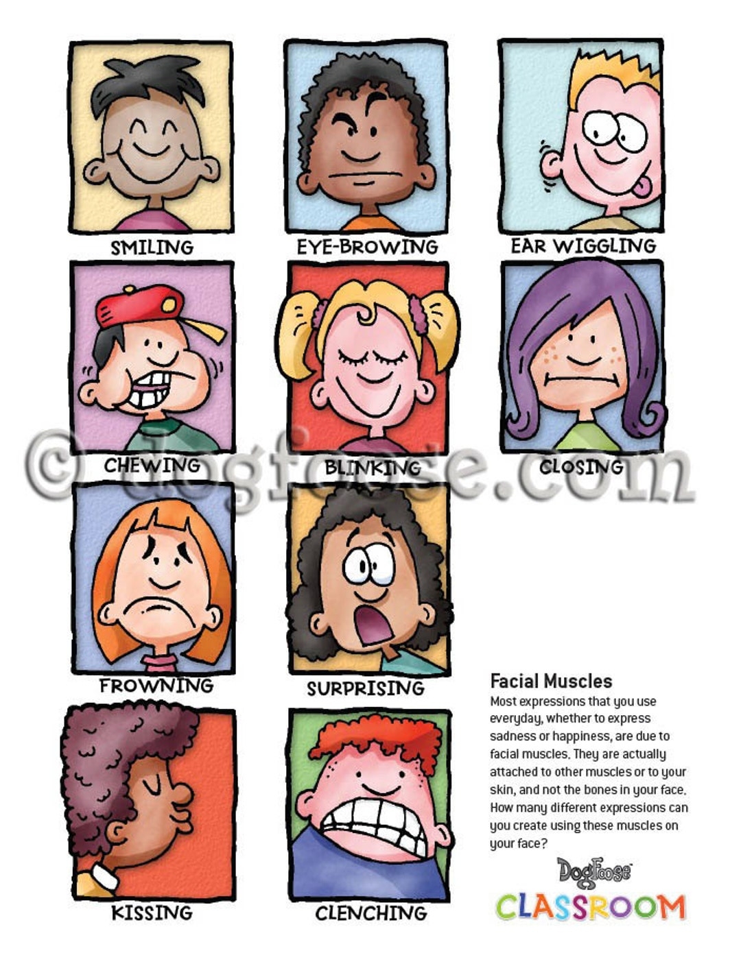 Facial Expressions Full Color pdf File Etsy
