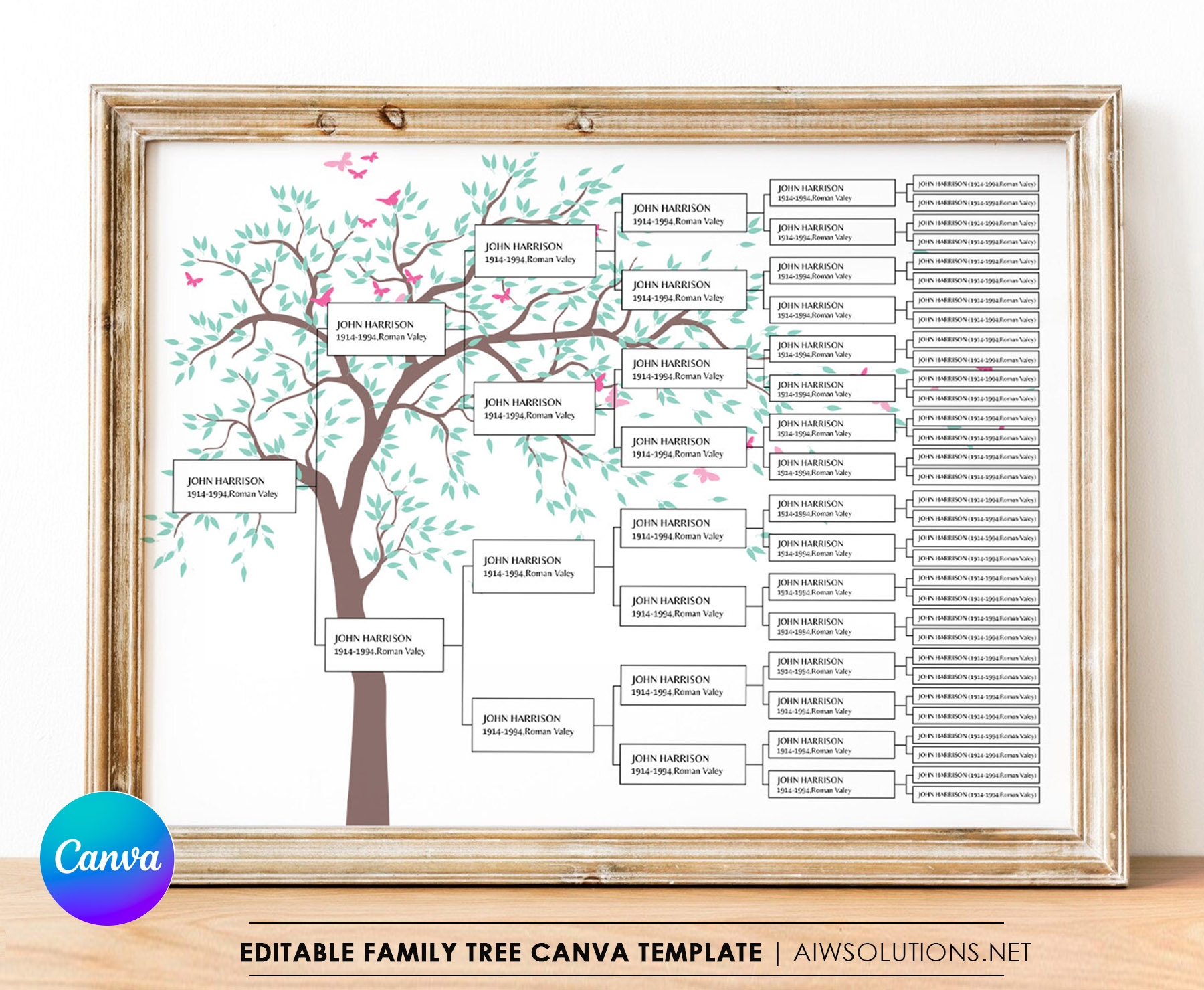 Family History Family Tree Fan Chart Genealogy Reunion Wall Worksheets Library