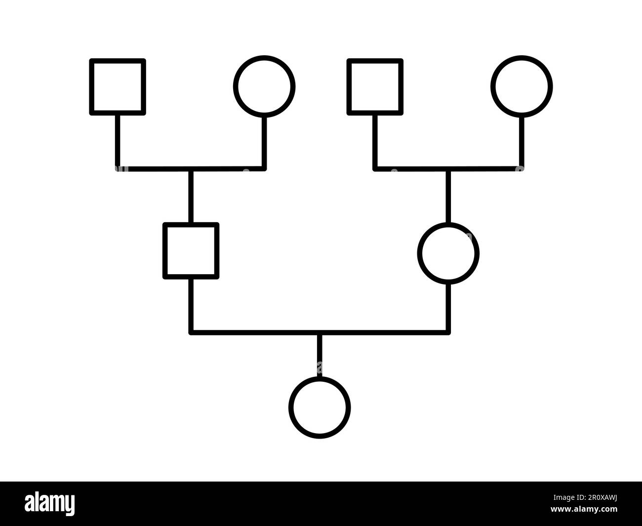 Family Pedigree Chart Printable