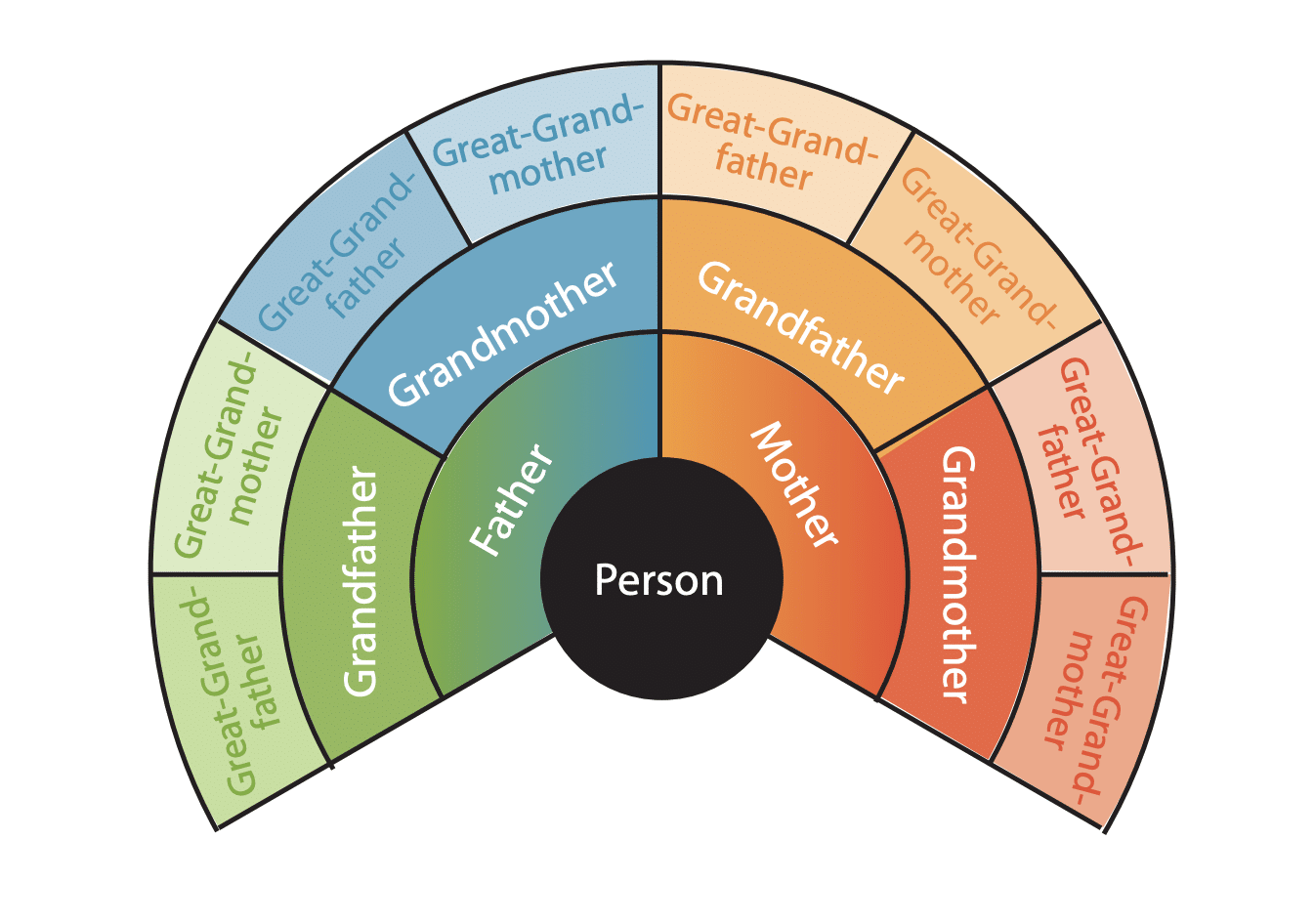 Family Tree Chart Types And Examples Family Tree Magazine