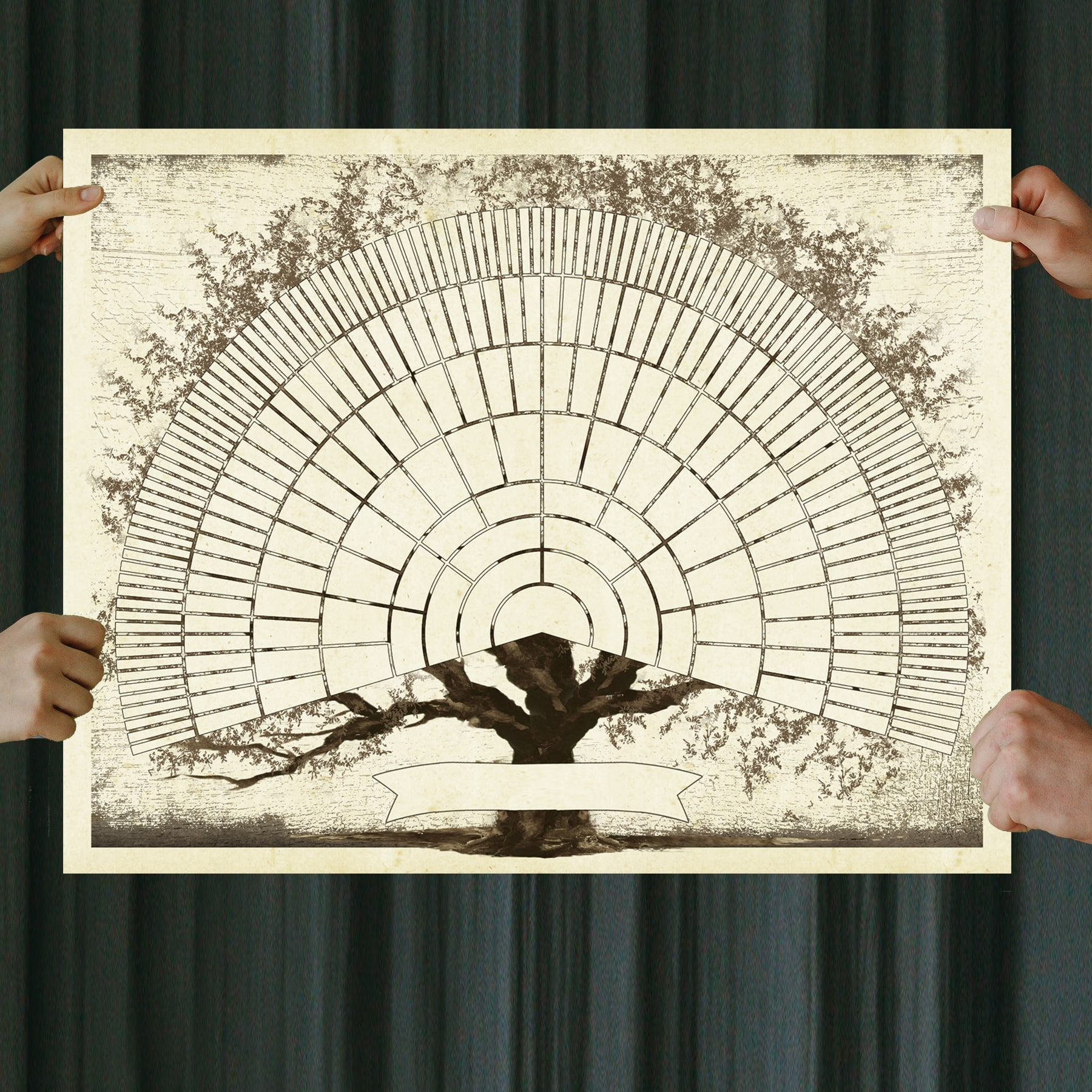 Fan Chart Heritage Family Tree Printable Reusable