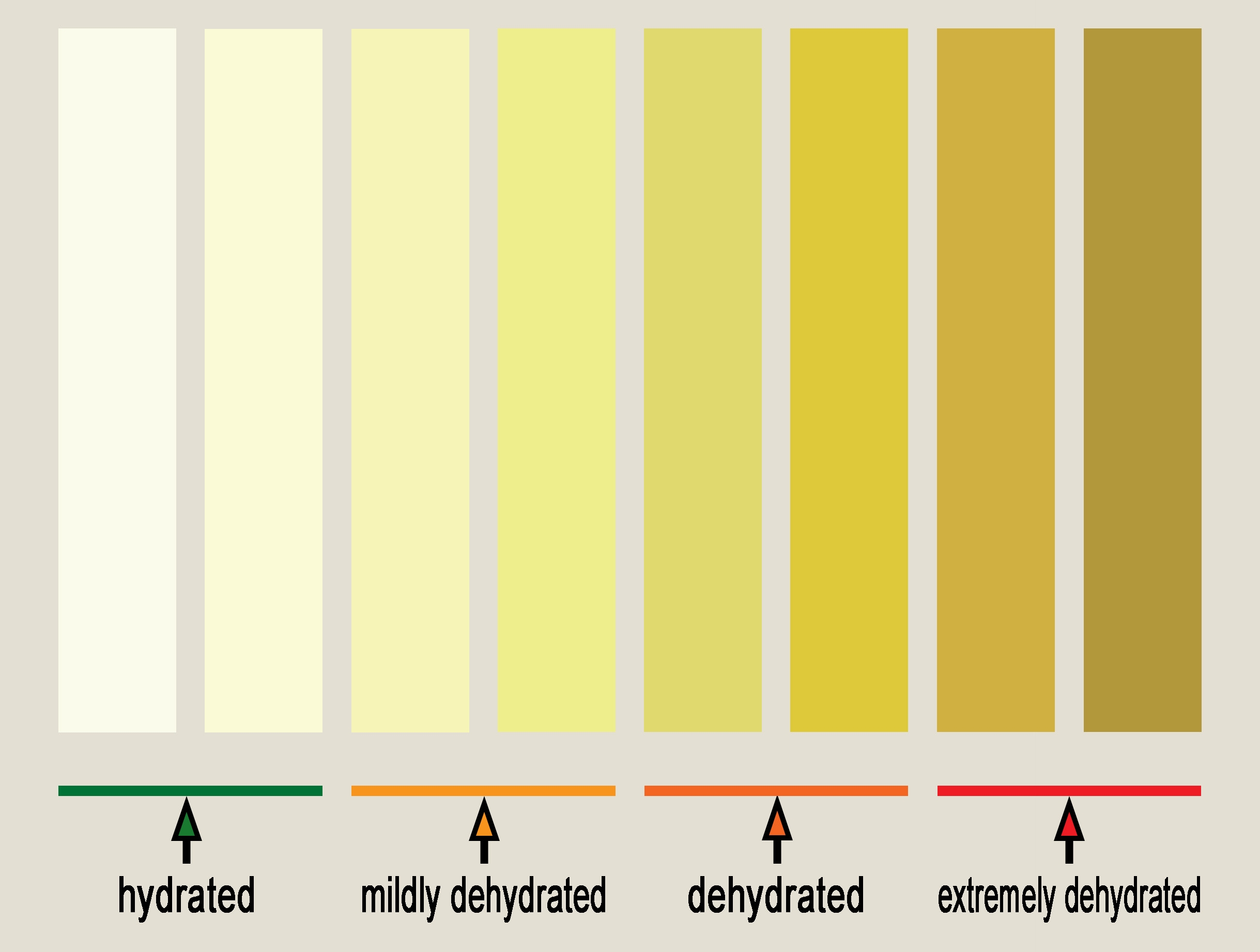 File Urine Hydration Chart jpg Wikimedia Commons