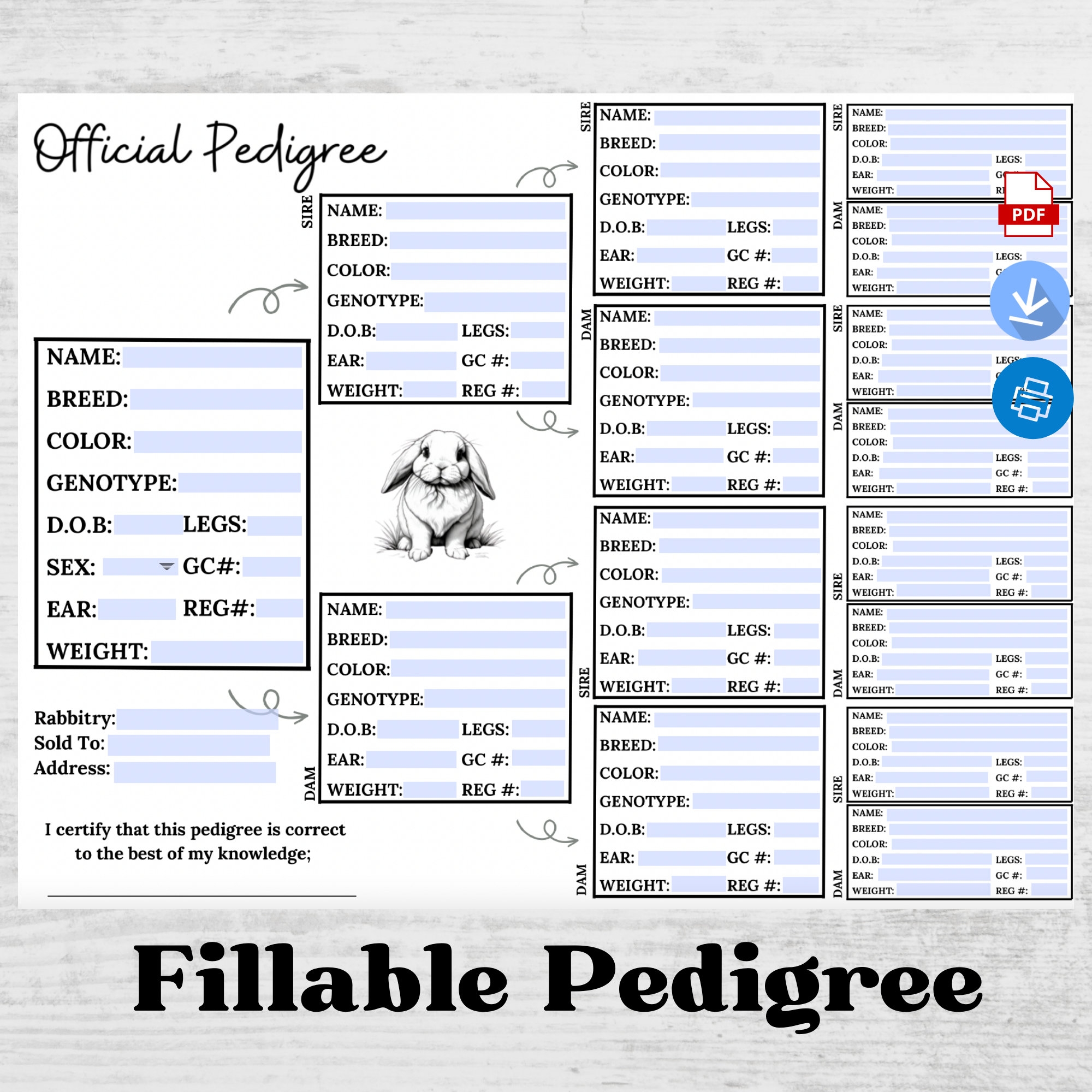 Fillable Rabbit Pedigree Template PDF Etsy