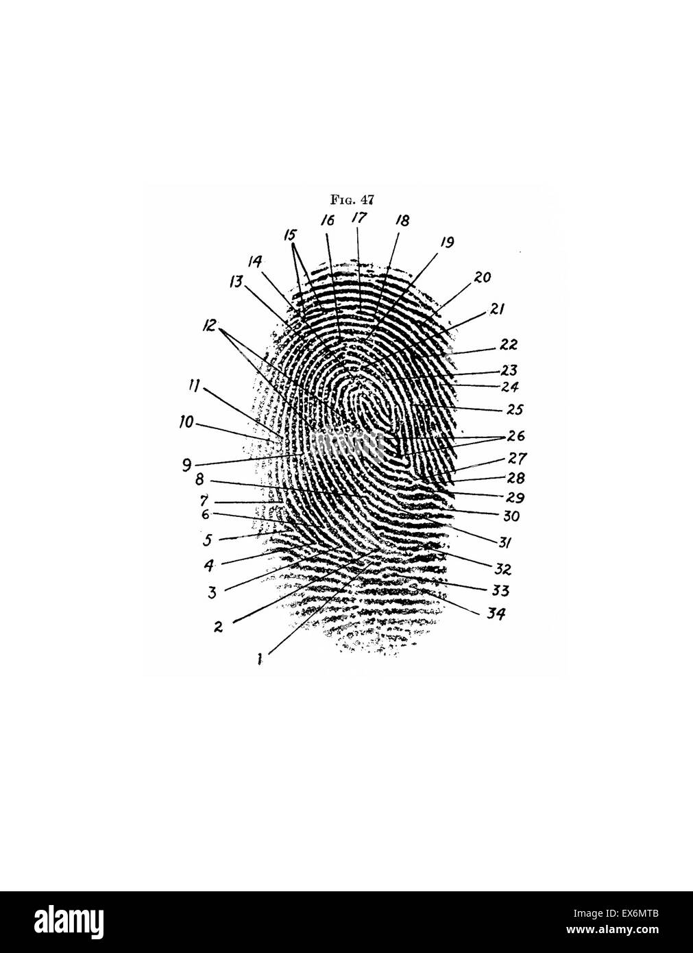 Fingerprint Diagram 1940 Frederick Kuhne The Finger Print Instructor Based Upon The Sir E R Henry System Of Classifying And Filing Stock Photo Alamy