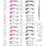 Flute Fingering Chart With Color coded Notes Learn Flute Technique Suitable For All Levels Made In The USA Etsy Norway