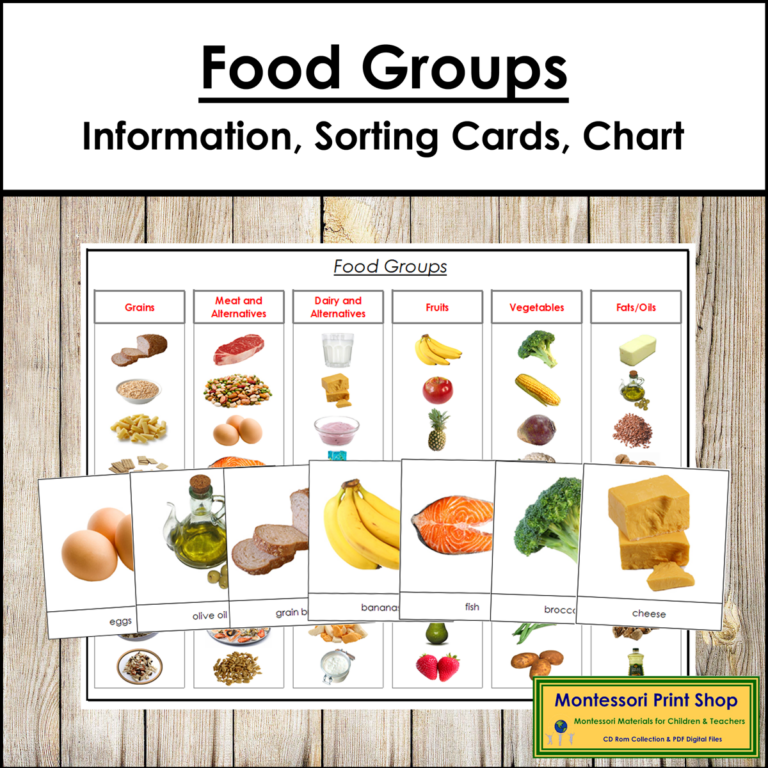Food Groups Information Sorting Cards Control Chart Made By Teachers