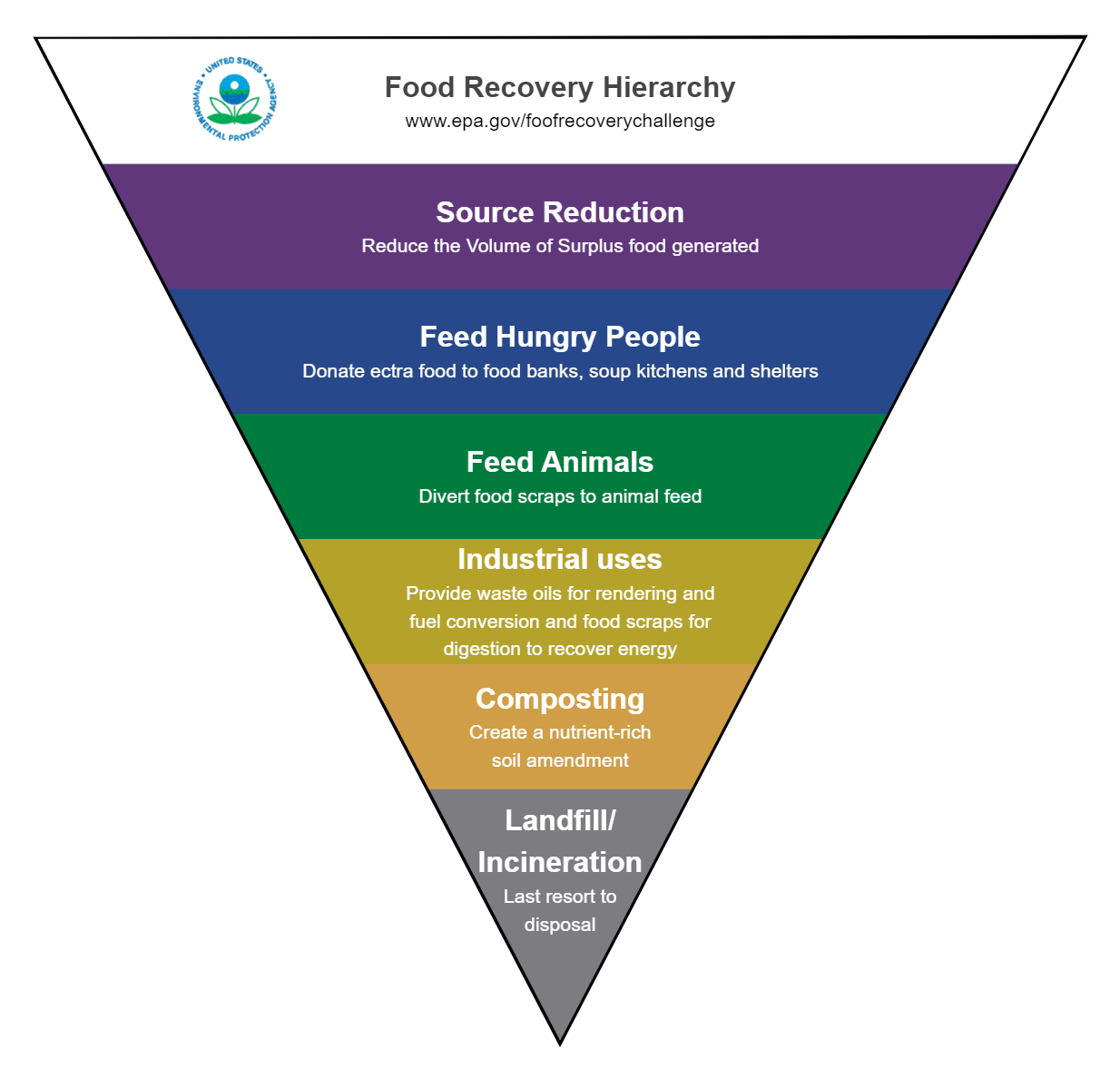 Food Hierarchy Chart EdrawMax Template