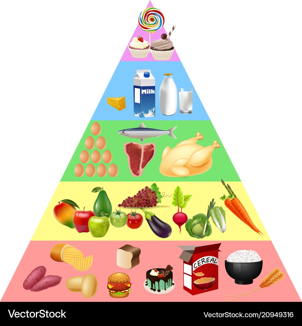 Free Printable Food Pyramid Chart