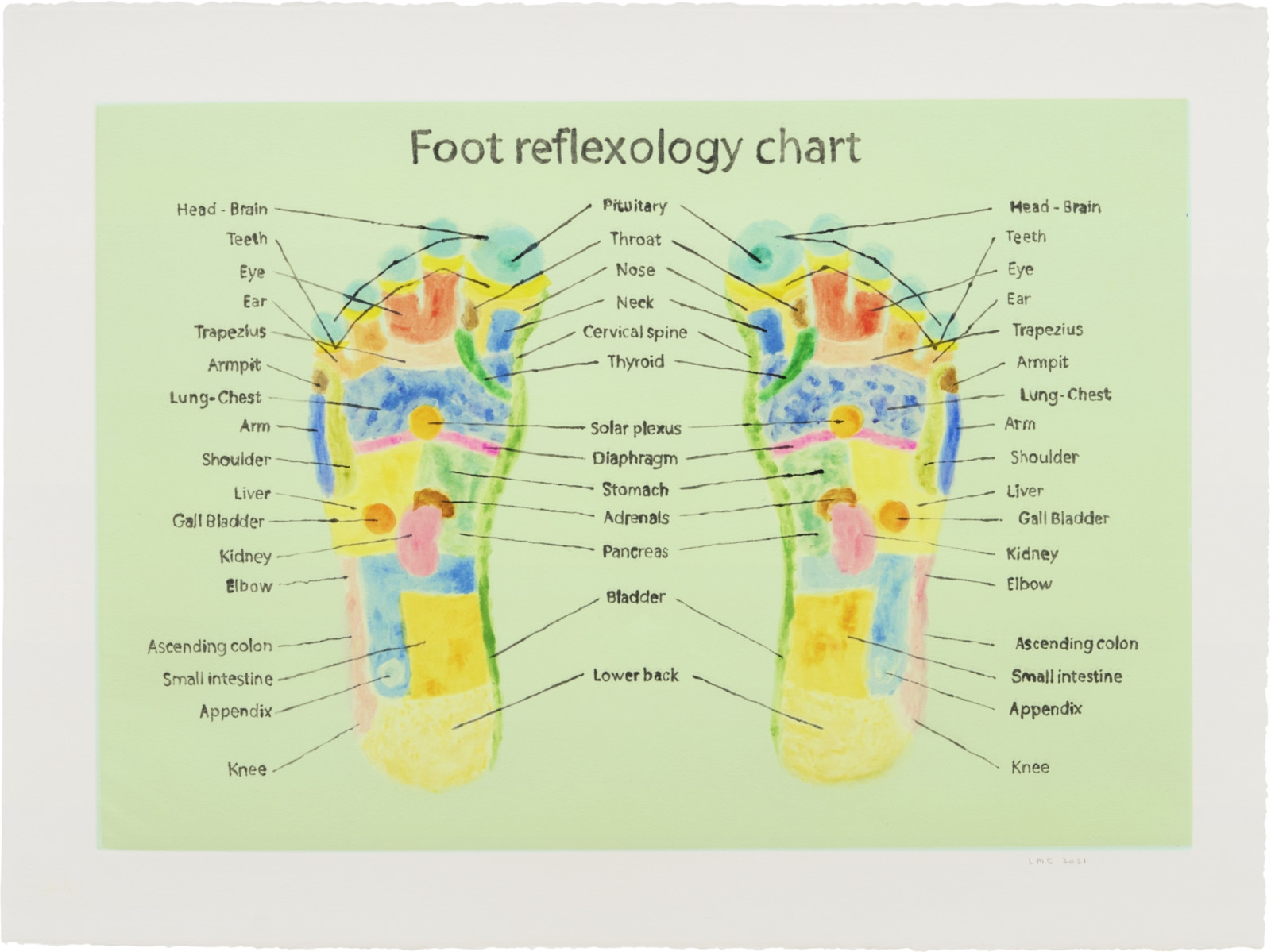 Foot Chart LEIDY CHURCHMAN Giraffe Matthew Marks Gallery