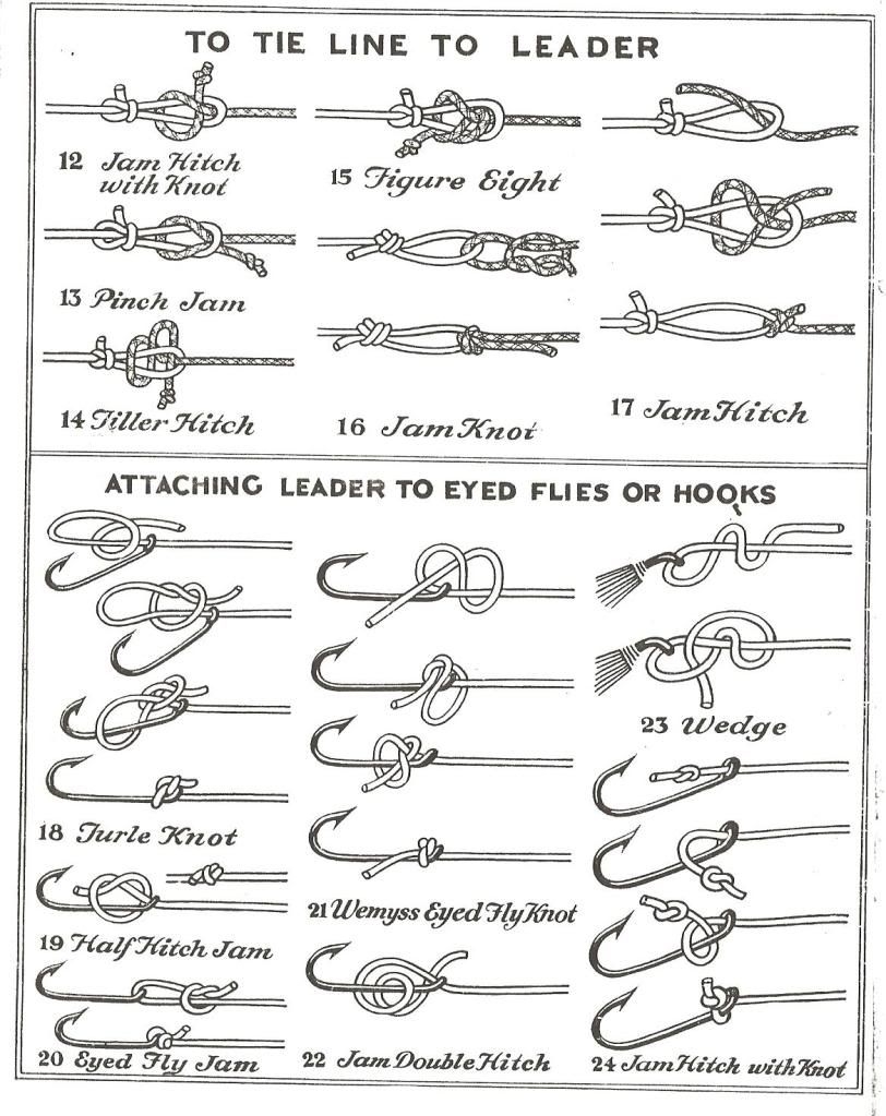 For Beginners Saltwater Fly Fishing Knots Chart 1 Waterproof Laminated Knot Tying Guide For Anglers Waterproof Knot Guide For Beginners Saltwater Fly Fishing Knots Chart 1 Waterproof Laminated Knot Tying Guide For Anglers Waterproof Knot Guide