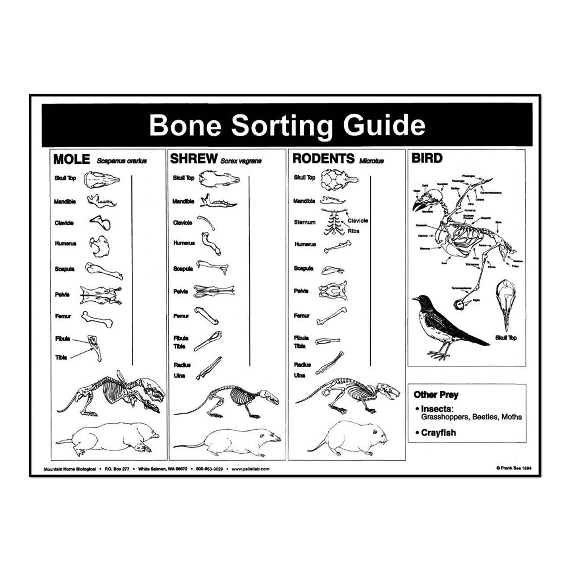 For Dissection Jumbo Owl Pellets Pack Of 5 With Bone Sorting Sheet Inc Where To Find For Dissection Jumbo Owl Pellets Pack Of 5 With Bone Sorting Sheet Inc Where To Find