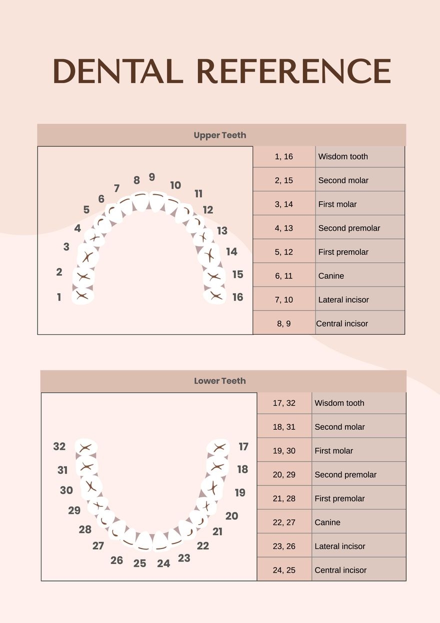 Printable Dental Examination Chart